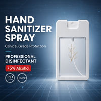 Spray désinfectant pour les mains antibactérien à 75 % d'alcool, format poche, séchage rapide, nettoyage des mains sans eau, durée de conservation de 3 ans