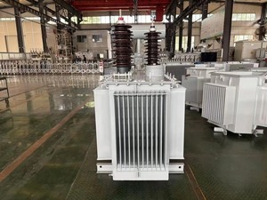 Transformateur de puissance auto-refroidissant à isolation immergée dans l'huile, de 10 kV à 300 kV - Product Image 3