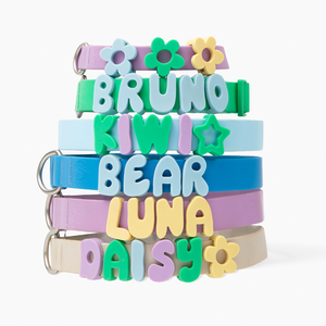 New Arrival Fashion DIY Silicone Premium Designer Custom Logo Luxury Adjustable PVC Waterproof Pet Cat Dog Collar Charms