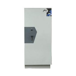 Dataline M Coffres-forts de qualité supérieure M Armoires pour un stockage sécurisé - Product Image 1