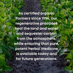 Органическая добавка для иммунной поддержки <span class=keywords><strong>Echinacea</strong></span> Goldenseal, корневая капсула, не содержит глютена для взрослых - Product Image 4