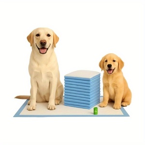 Puppy Toilet Training Pad Waterproof Leak-proof Pee Pad For Pet Potty <b>Cats</b> Rabbits - Product Image 1
