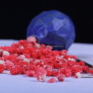 Hierba de cristal eterna preservada del proveedor de <span class=keywords><strong>bodas</strong></span>, Limonium, decoración seca para eventos de <span class=keywords><strong>bodas</strong></span> para el Día de San Valentín con tallos - Product Image 5