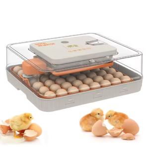 Incubadora Familiar para Granja, Modelo Totalmente Automático, Control Inteligente de Temperatura, Apta para Pollos, Patos y Gansos - Product Image 4