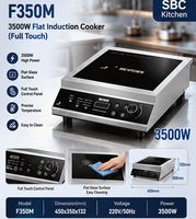 Tischplatte 3500W Hochleistungs-Edelstahl-Wok Konkaver Kommerzieller Elektrischer Induktionsherd Freistehender Wok-Brenner 220V