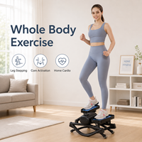 Mini Stepper d'Exercice BNcompany TBJ-001 Cardio Twister en Acier pour Cardio-training
