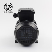 Bomba de Agua Eléctrica Portátil de Alta Calidad AC220V para Automóviles, para Líquidos de Alta Viscosidad