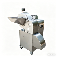 Professionele automatische commerciële restaurant groente- en fruit snijmachine met motor, voedselveilige roestvrijstalen uitvoering