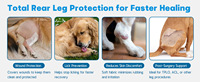 HIPHOPPET Manchon de protection pour pattes arrière de chien, anti-linge, respirant, antidérapant, pantalon de récupération en nylon 600D, réglable, couleur unie, tendance