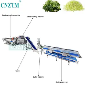 Línea de procesamiento de vegetales de raíz automática, máquinas de lavado completo de tomate, repollo, zanahoria, cauliflor, escarabajos, espinaca, espárragos