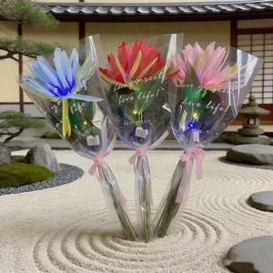 Nouveau jouet lumineux Epiphyllum qui brille dans le noir, best-seller transfrontalier, ajoute une ambiance élégante - Product Image 6