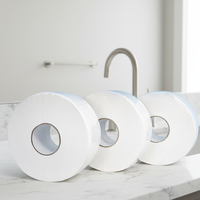 Papier toilette souple, rincable, pâte vierge, OEM label privé, vente en gros pour supermarché.