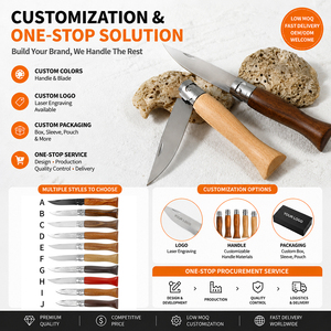 Cuchillo Plegable de Supervivencia EDC de Acero Inoxidable con Hoja de Madera para Camping al Aire Libre, Venta Caliente OEM, con Servicio de Empaque con Logotipo OEM - Product Image 1
