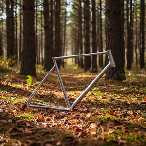 NOUVEAU Cadre de vélo de route en titane imprimé en 3D Waltly pour vélos de route à freins à disque, taille XL - Product Image 1