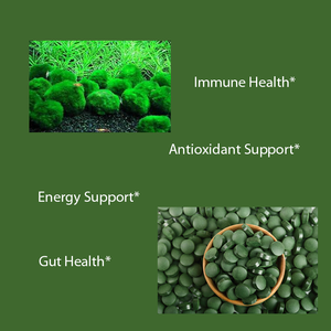 OEM/ODM tablet klorella organik terlaris, dinding sel rusak, kaya akan Protein Vegan & vitamin, mendukung energi kekebalan & energi - Product Image 3