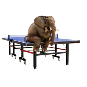 <span class=keywords><strong>Tavolo</strong></span> da <span class=keywords><strong>Ping</strong></span> <span class=keywords><strong>Pong</strong></span> Pieghevole e Mobile per Interni con Piano da 18mm - Product Image 1