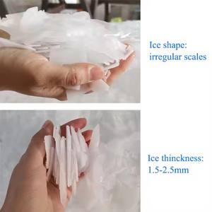 Macchina per Ghiaccio a Scaglie Raffreddata ad Aria 220V per Acqua di Mare, Essenziale per Pesca in Barca e Uso Marino, Include Componenti del Motore - Product Image 6