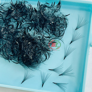 Extensions de cils en vison Vietnam 6D extensions de cheveux ventilateurs de cils extensions de cils fournitures de cils en cachemire de luxe - Product Image 1