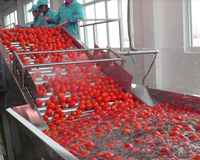 Hoge kwaliteit circulerende water aardbeien bubbelreinigings wasmachine fruit bubbelwasser