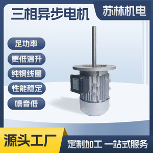 Moteur électrique personnalisé 2 pôles 4 pôles triphasé asynchrone à montage sur bride pour équipement mécanique - Product Image 5