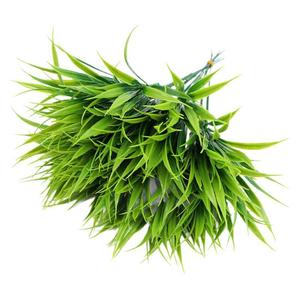 Plantes aquatiques artificielles Nianyu, herbe en plastique de 26 cm pour arrangement floral, verdure décorative - Product Image 5