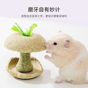 Barra de Masticar de Núcleo de Manzana para Hámster, Juguete Duradero para Mascotas de Interior, 75G - Product Image 4