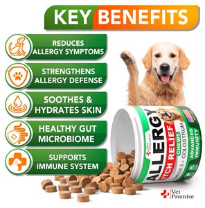 Chống ngứa nhai mềm cho chó hỗ trợ dị ứng da với dầu cá hồi và quercetin để làm dịu da ngứa - Product Image 3