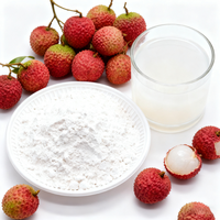 Fabrieksleverancier Litchi Poeder Litchi Fruit Sap Concentraat Poeder