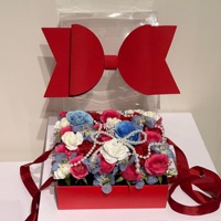 Boîte d'emballage en papier avec grand nœud rouge, blanc, rose et bleu, avec couvercle transparent