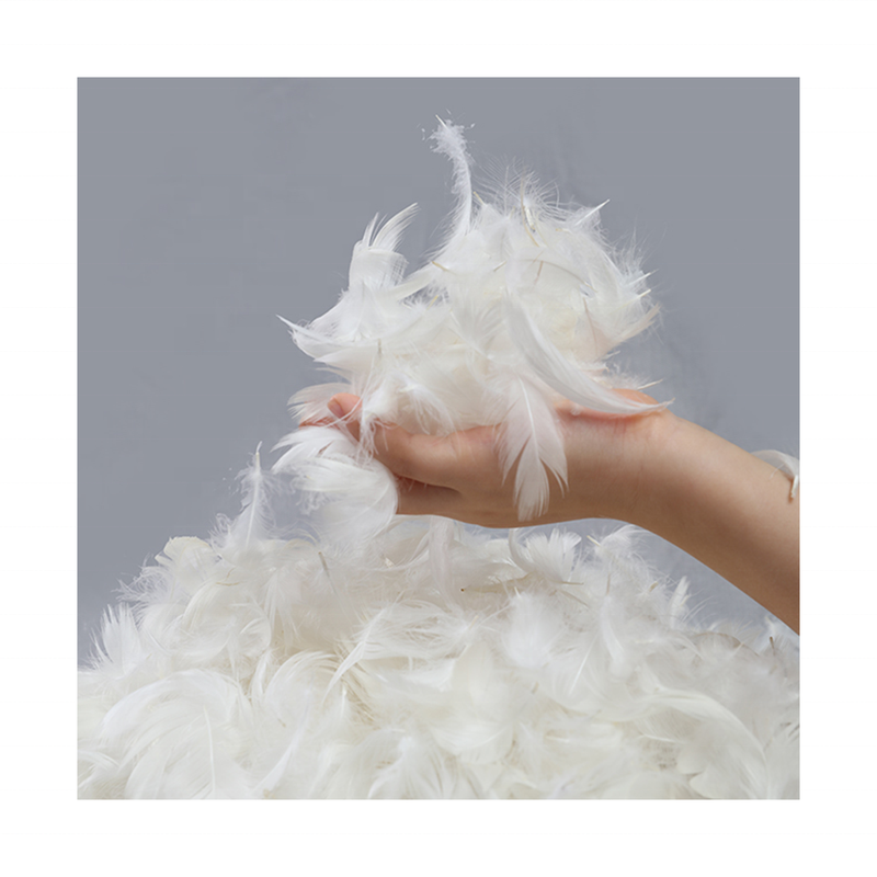 Customized Design Wholesale Wholesale White Duck