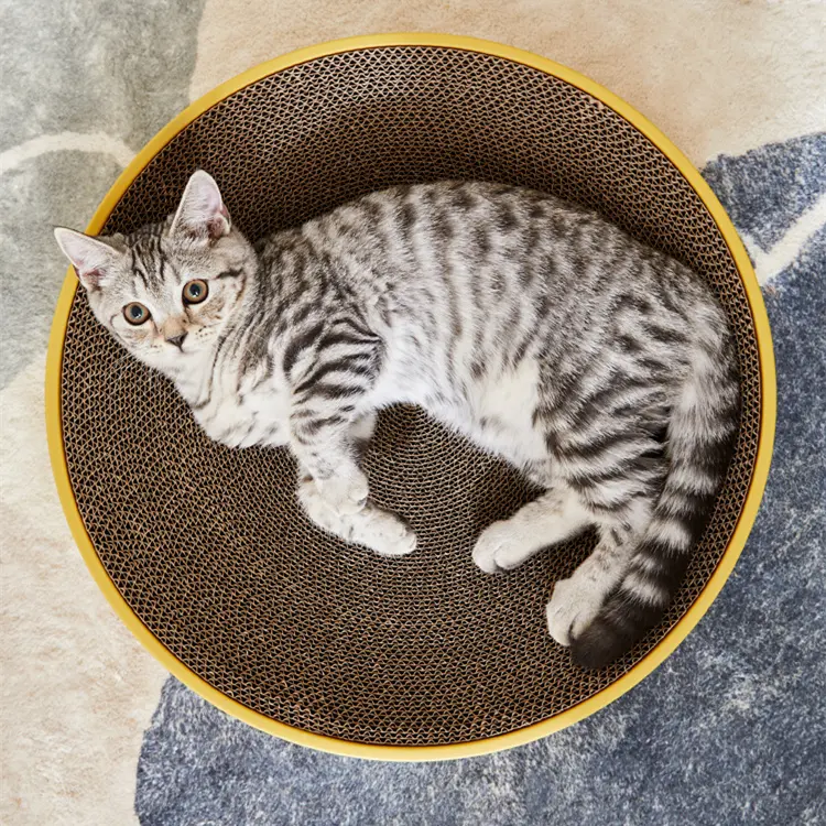 Alas tempat tidur kucing lucu, mainan latihan untuk kucing dan kucing