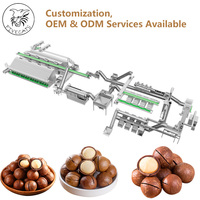 Machine à décortiquer et à peler les noix de macadamia en acier inoxydable 304, traitement de pré-rôtissage, alimentation automatique pour l'industrie des aliments en conserve