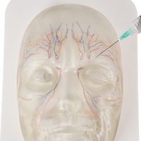 Maniquí de PVC para Entrenamiento de Inyecciones Faciales, Modelo de Cabeza para Esteticistas, Enseñanza de Inyecciones Faciales, Modelo Anatómico CP.KC.0588 CN SIC