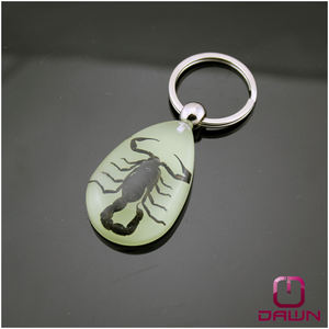 Llavero de Resina con Insectos Reales de Gran Tamaño y Alta Transparencia con la Viuda Negra - Product Image 5