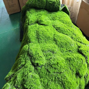 Vente directe d'usine tapis <span class=keywords><strong>de</strong></span> mousse artificielle <span class=keywords><strong>de</strong></span> grande taille pour la conception <span class=keywords><strong>de</strong></span> jardin nouvelles plantes <span class=keywords><strong>de</strong></span> verdure <span class=keywords><strong>de</strong></span> <span class=keywords><strong>gazon</strong></span> Moos pour la Saint-Valentin <span class=keywords><strong>de</strong></span> mariage - Product Image 5
