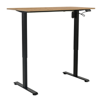 Bureau debout électrique, bureau de jeu réglable en hauteur, table d'ordinateur, mobilier de bureau à domicile, bureau de travail moderne