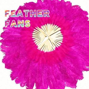 Ostrich Burlesque Large Jeniorr African Feather Crafts <b>Hand</b> <b>Fan</b> Pink for Ladies Wedding Feather <b>Fan</b> for Party Holiday Supply - Product Image 2