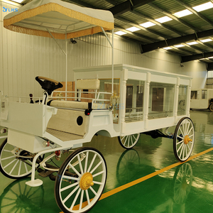 Most Popular Luxury Hearse Trailer/Special Transport Funeral Carriage/Latest Modern Funeral Hearse for Sale - Product Image 2