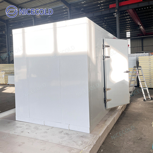 Phòng lạnh bảo quản thực phẩm đặt làm riêng, tủ đông đi bộ dành cho cửa hàng tạp hóa, nhà máy chế biến thịt và kho chứa nông sản tươi sống - Product Image 2