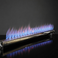 Nouveau brûleur à gaz pré-mélangé en acier inoxydable avec allumeur à surface chaude et éléments chauffants – Pièce de rechange pour chaudière et équipement de boulangerie |   BNGAS 1