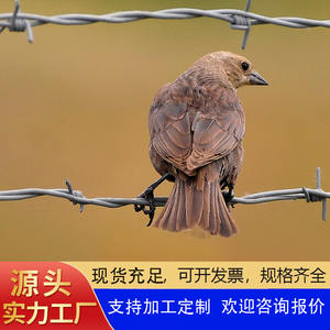 Filet d'isolation de fil de fer barbelé galvanisé à chaud clôture de sports de plein air filet de protection anti-escalade pour la reproduction treillis métallique de qualité - Product Image 2