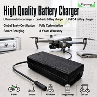 Chargeur de batterie intelligent personnalisé pour drones agricoles 12,6V 25,2V 50,4V 1A 2A 3A 4A CE, compatible 3S 4S 12S 14S 6S LiFePo4 Li-ion