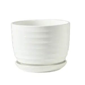 Bowl-shaped Round White Ceramic Flower Pot Decoration Office Indoor Ornamental Plastic Flowerpot