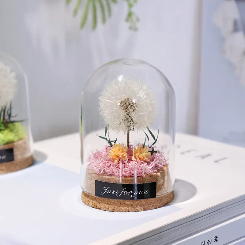 Factory Wholesale Preserved Flower Dandelion 6*8cm Glass Dome Gift Teacher's Day Mother's Day Christmas Women's Day Gift