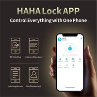 Serrure Intelligente pour Porte en Verre : Reconnaissance Faciale, Code, Empreinte Palmiste, Clé Serrure à empreinte digitale