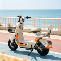 Vélo électrique à 2 roues personnalisé OEM, vélo électrique de ville à double siège avec panier pour les trajets familiaux, vente en gros