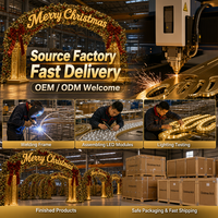 MACCAN Projets de signalétique de Noël personnalisée, lettres lumineuses, enseignes en acier inoxydable, métal, pour mariages, boutiques, décoration intérieure, réalisation de projets