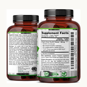 GMP Sertifikalı Yeşil Çay Ekstresi Takviyeleri %98 Polifenoller %50 EGCG Glutensiz - Product Image 4