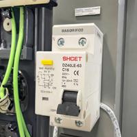 Interruptor Diferencial RCBO 6A 10A 16A 20A 25A 32A 40A 50A 63A 1P+N con Protección Contra Sobrecorriente RCCB 10mA 30mA 100mA