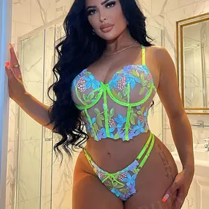 New Trendy colourful Embroidered valentines sexy lingerie two piece set women briefs sexy lingeries with steel ring